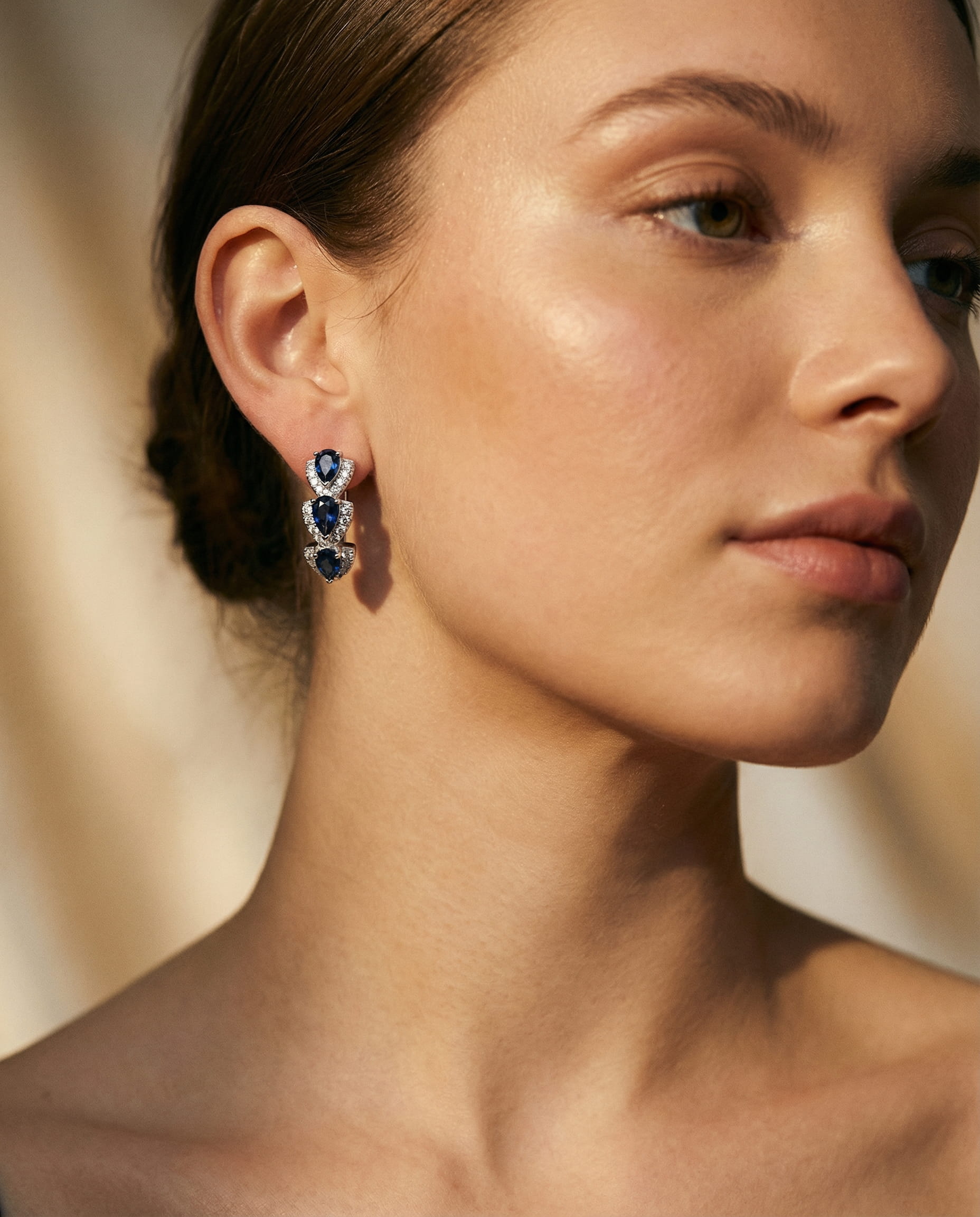 Sparkling Crystal Hoop Earrings