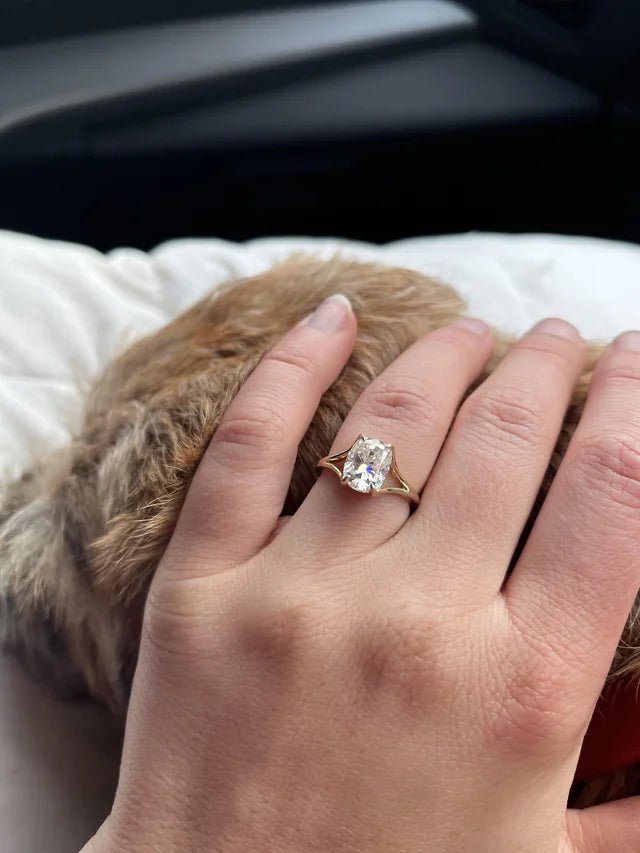 Junta-te a mais de 57.000 fãs da Monarel